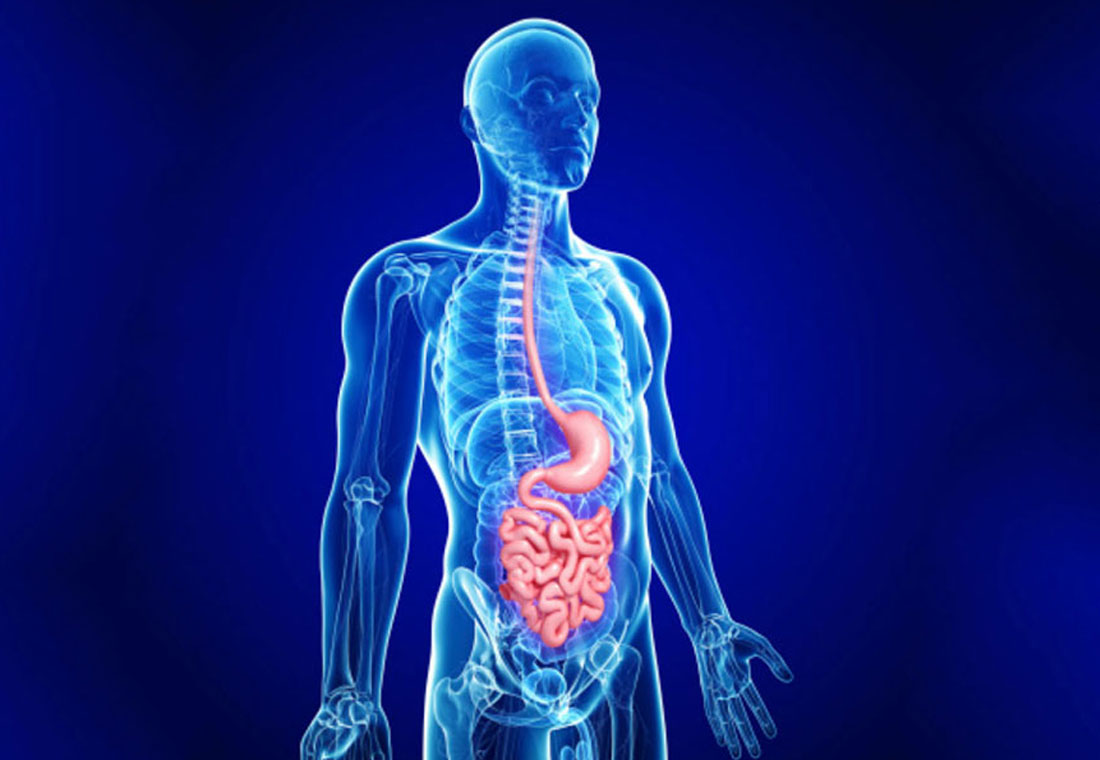 Upper GI Surgery